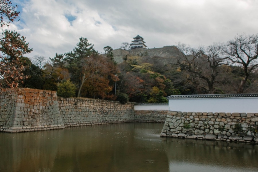 Todo Japón por mil dólares: instrucciones de un viajero profesional