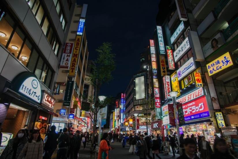 Todo Japón por mil dólares: instrucciones de un viajero profesional