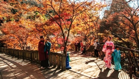 Todo Japón por mil dólares: instrucciones de un viajero profesional