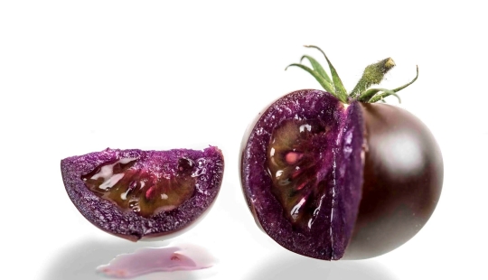 Tomates transgénicos morados se venderán en los Estados Unidos