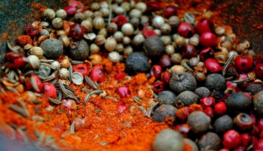 Top 10 most popular spices and spices in the world