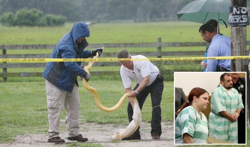 Top 10 tragic cases with exotic pets
