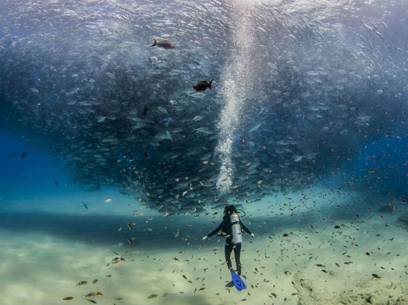 Top of the best National Geographic photos of 2015
