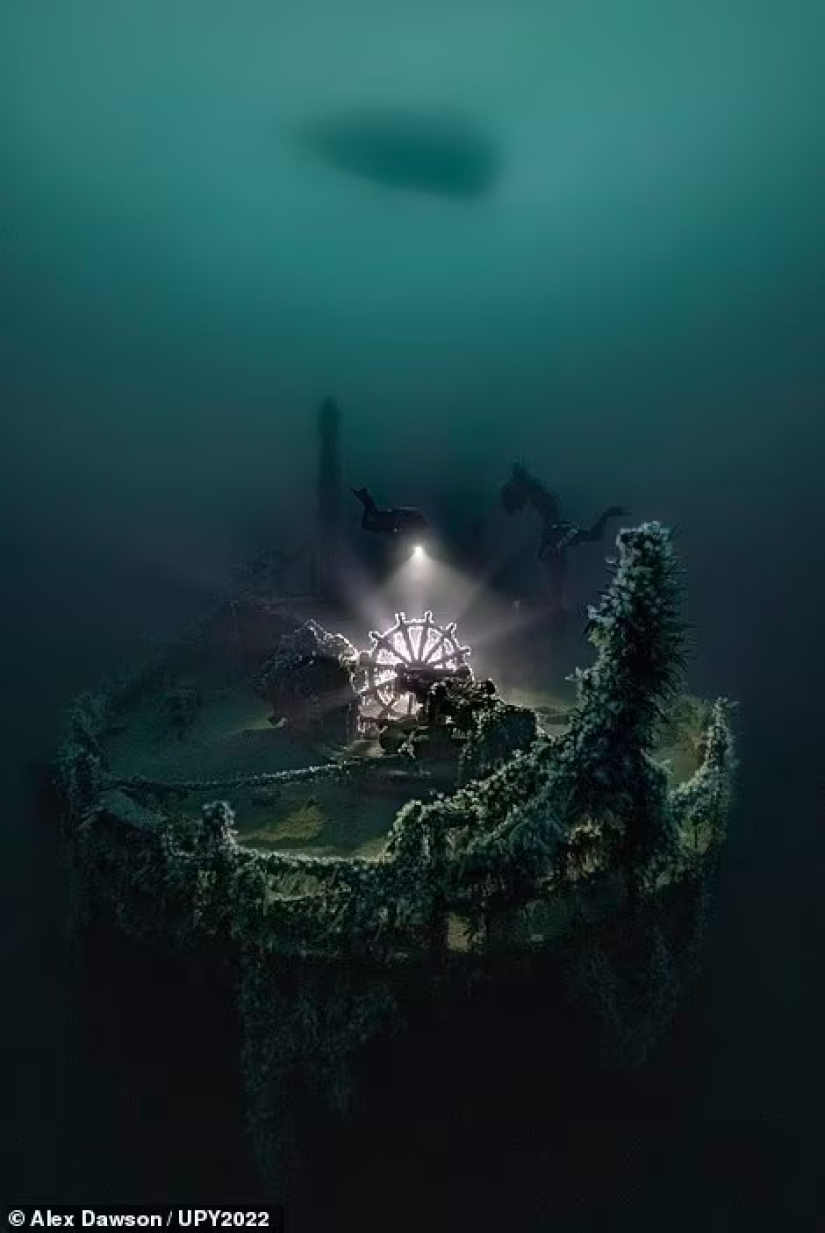 Tortuga fisicoculturista, espeluznante naufragio de la Marina de los EE. UU. y pez destrozado en Escocia: increíbles ganadores del premio al fotógrafo submarino del año 2022
