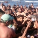 Tourists "populated" a baby dolphin to death