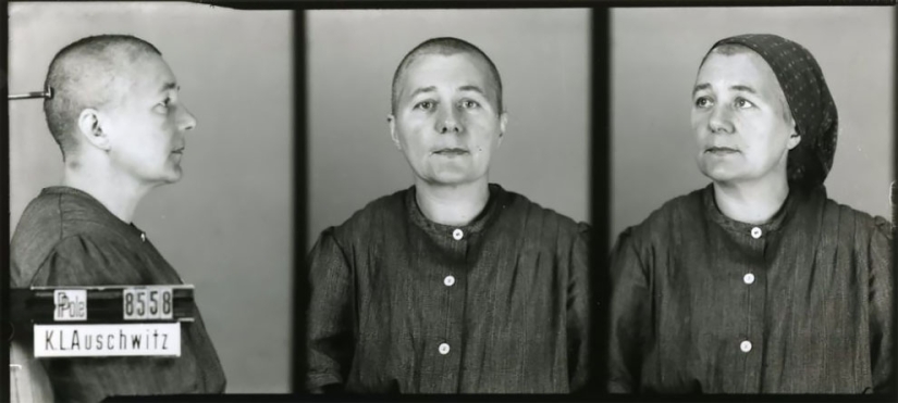 "Traté de calmarlos": retratos de prisioneros de Auschwitz del fotógrafo polaco Wilhelm Brass
