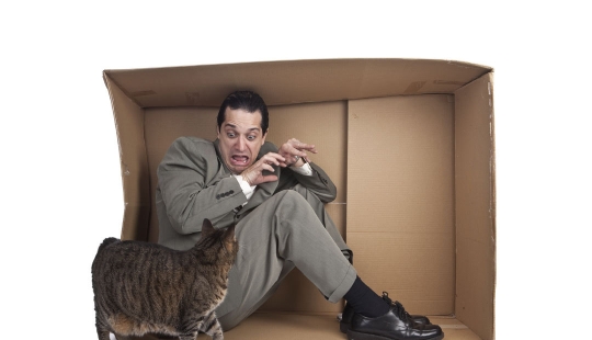 "Trial by seals": friends gave a man with ailurophobia the cutest torture