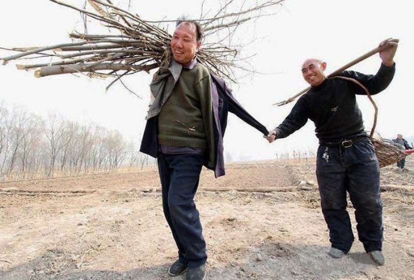 Two Chinese planted 10,000 trees