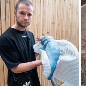 Un bloguero alemán mostró cómo se come a un delfín y se convirtió en objeto de odio. La broma tuvo que ser expuesta con urgencia