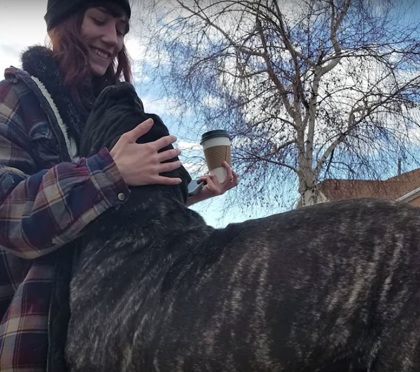 Un cachorro de 9 meses de una raza antigua pesa 80 kilogramos y golpea a un adulto con una cola