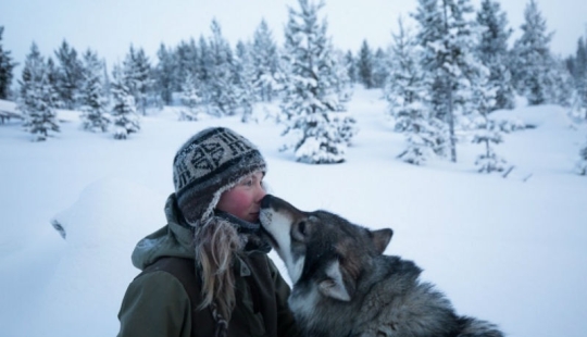 Un día en la vida de un ermitaño polar