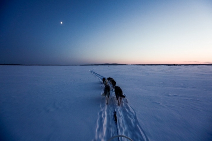 Un día en la vida de un ermitaño polar