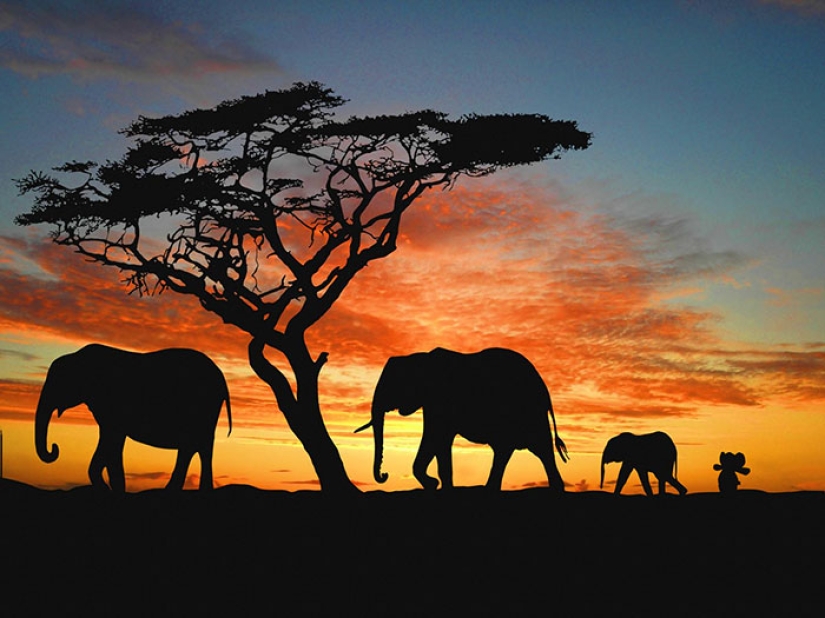 Un elefante de peluche perdido viaja por el mundo