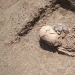 Un esqueleto de un bebé del siglo II con un cráneo alargado fue encontrado en Crimea