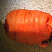 Un hombre encontró un anillo de compromiso perdido hace tres años en una zanahoria
