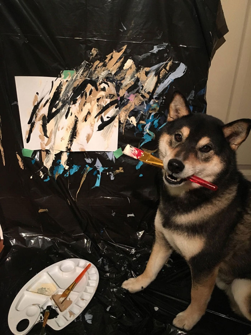 Un perro de la raza Shiba Inu dibuja y gana miles de dólares con él