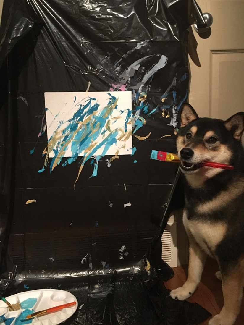 Un perro de la raza Shiba Inu dibuja y gana miles de dólares con él