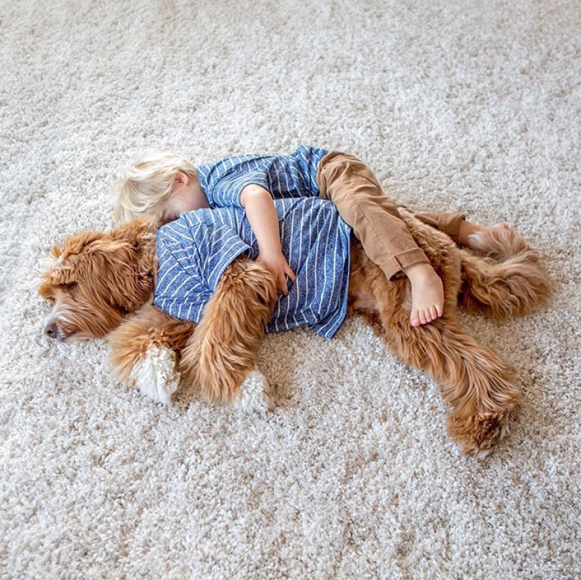 Un perro es el mejor amigo de una persona. Un niño y un cachorro no se separan ni siquiera en un sueño