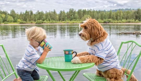 Un perro es el mejor amigo de una persona. Un niño y un cachorro no se separan ni siquiera en un sueño