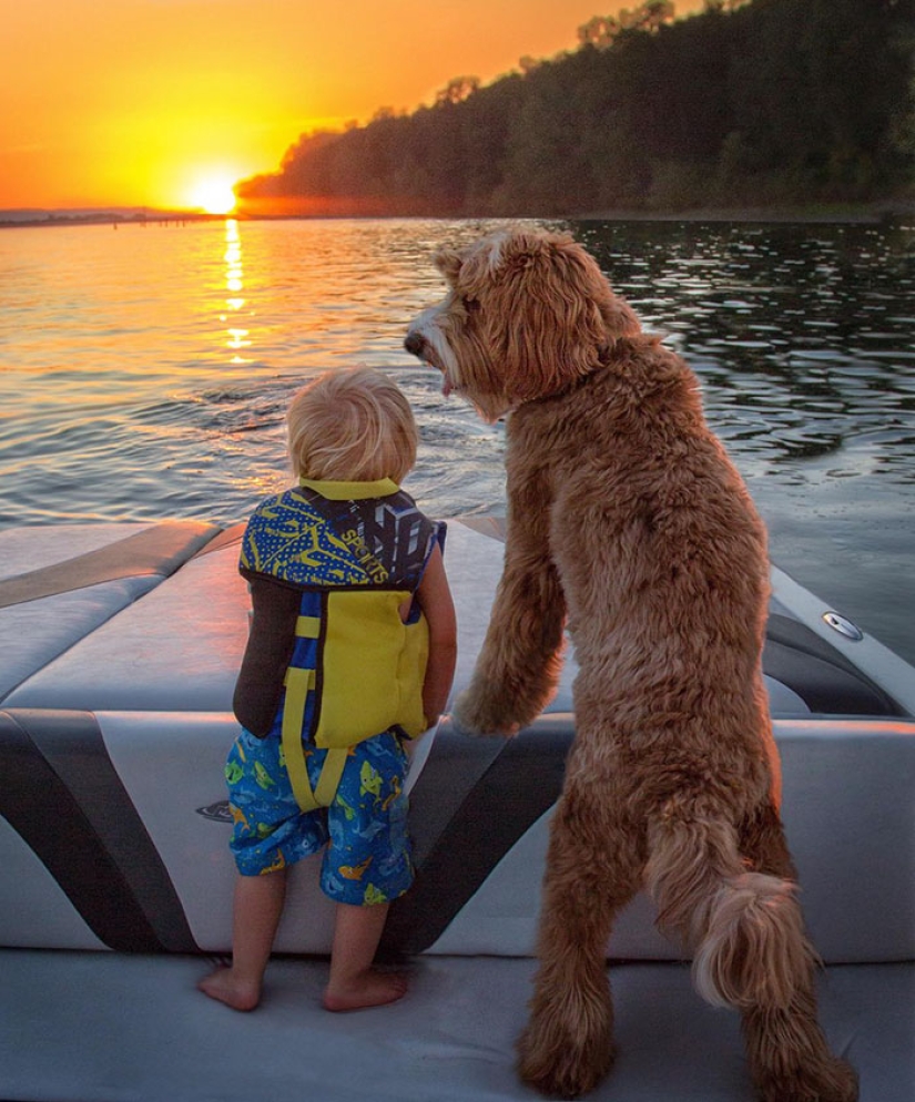 Un perro es el mejor amigo de una persona. Un niño y un cachorro no se separan ni siquiera en un sueño