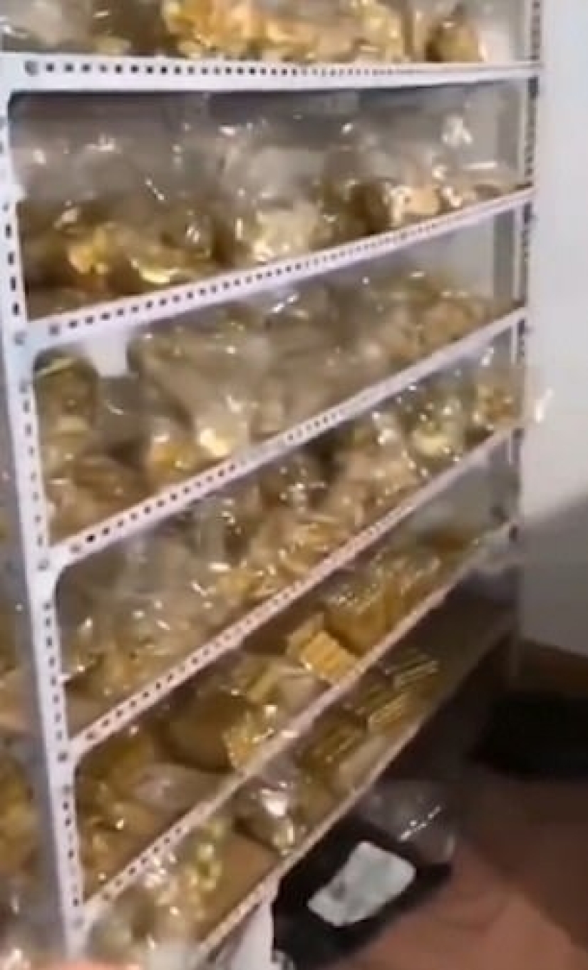 Un sobornador del más alto nivel: se encontraron 13,5 toneladas de oro en la casa de un funcionario chino