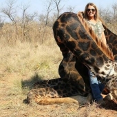 Una cazadora sedienta de sangre mató a una rara jirafa negra y cosió una funda de su piel