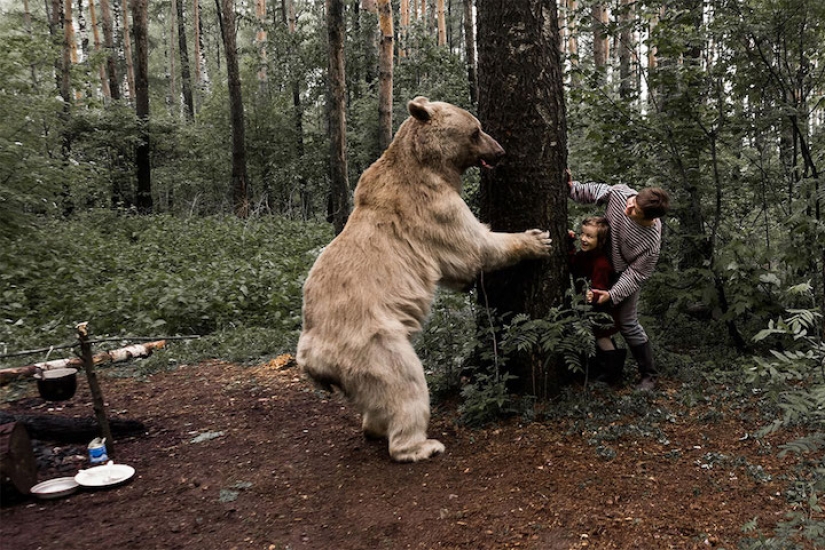 Una familia rusa se hizo amiga de un oso en el bosque para una campaña contra la caza