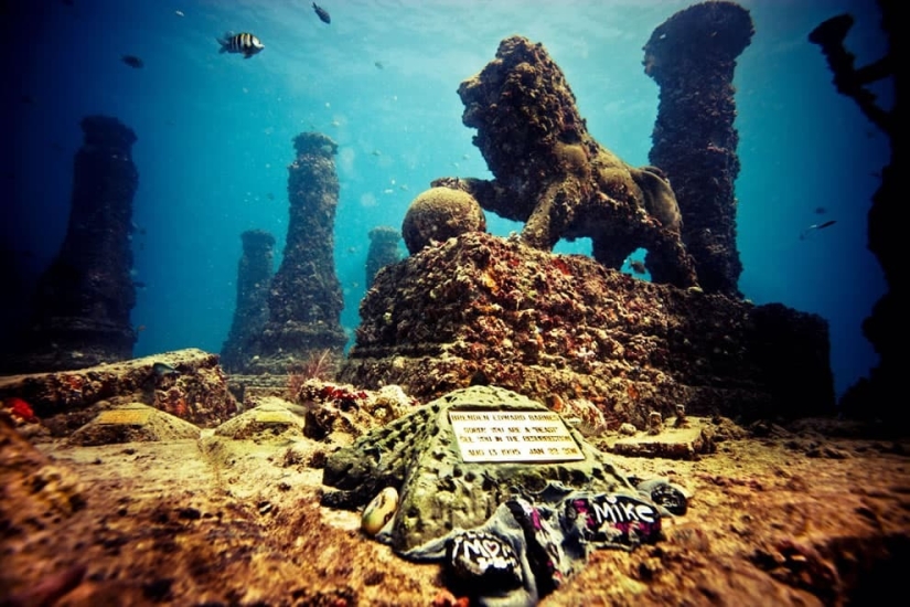 Una firma estadounidense de servicios funerarios ofrece convertir las cenizas de los muertos en arrecifes de coral