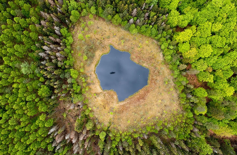 Una maravillosa docena de transformaciones otoñales increíblemente hermosas