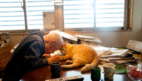 Una mujer japonesa resucitó a su abuelo regalándole un gatito