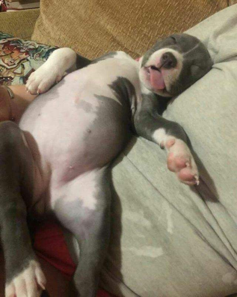 Unbearably cute baby animals that will make your day better