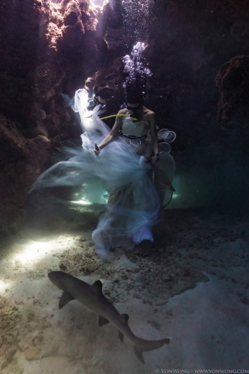 Underwater fairy tale with sharks