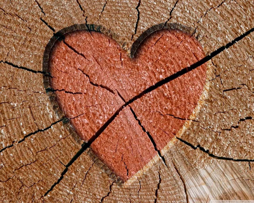Valentine's Day: Hearts, hearts everywhere!