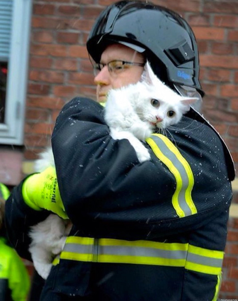 Valientes bomberos que arriesgaron sus vidas para salvar animales