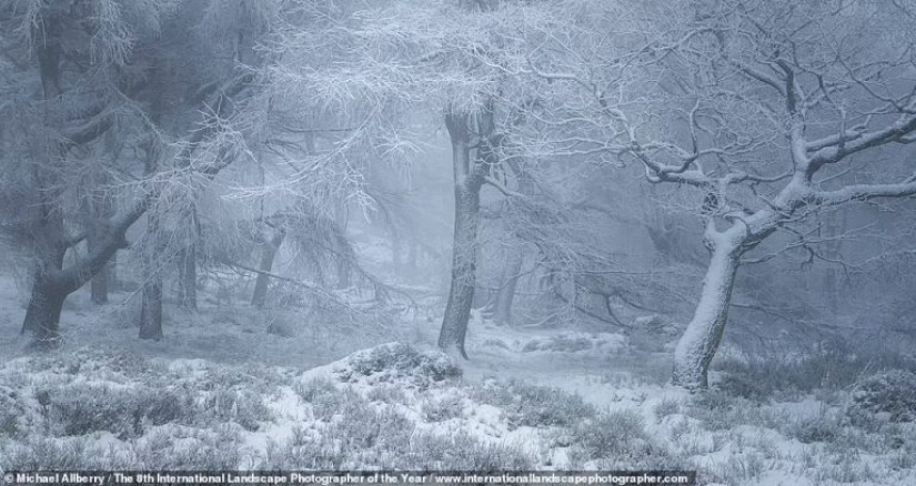 Valles brumosos, bosques mágicos y tormentas monstruosas: se anuncian los ganadores del Increíble Fotógrafo Internacional de Paisajes del Año 2021
