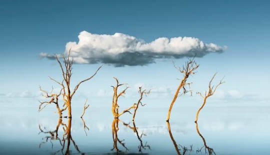 Valles brumosos, bosques mágicos y tormentas monstruosas: se anuncian los ganadores del Increíble Fotógrafo Internacional de Paisajes del Año 2021
