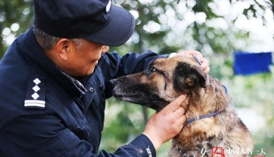 Vejez decente de los perros de servicio: un adiestrador de perros chino ha abierto un refugio para perros jubilados