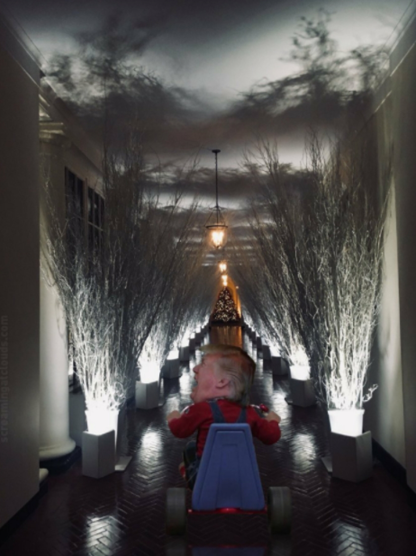"Very strange funeral": social networks parody the festive decoration of the White House from Melania Trump