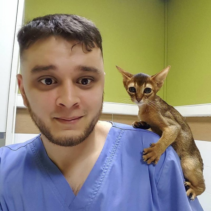 Veterinario Ruso Enfrenta Cárcel por Salvar a Animales de la Muerte