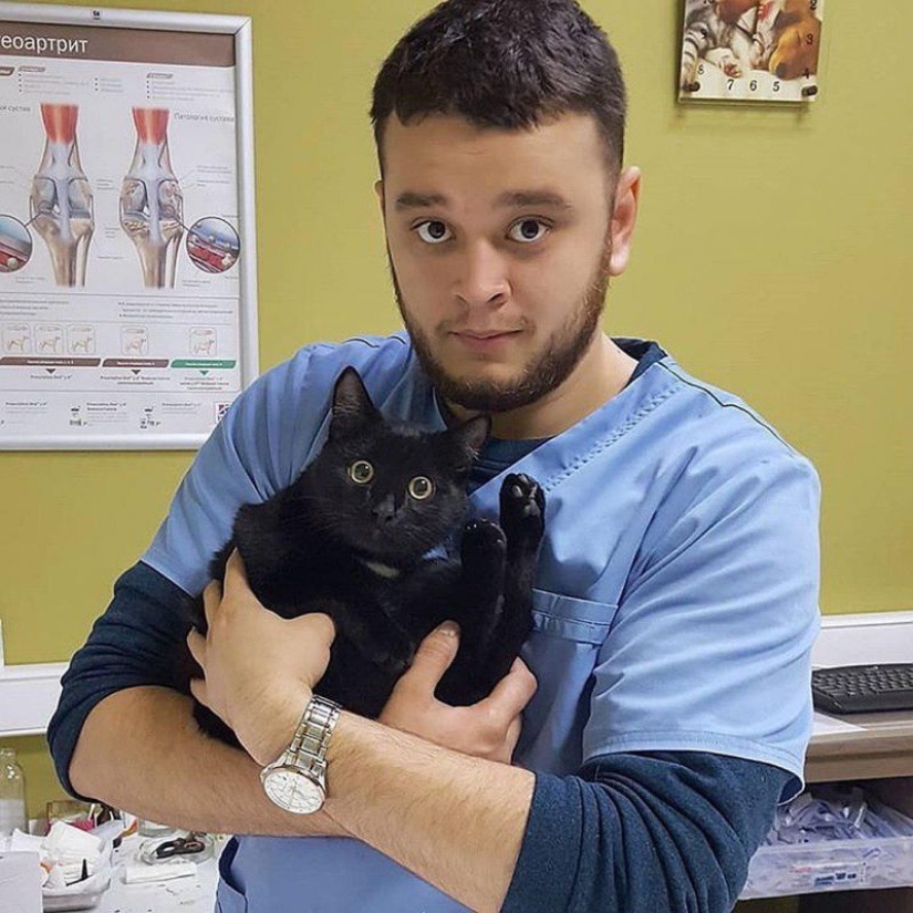 Veterinario Ruso Enfrenta Cárcel por Salvar a Animales de la Muerte