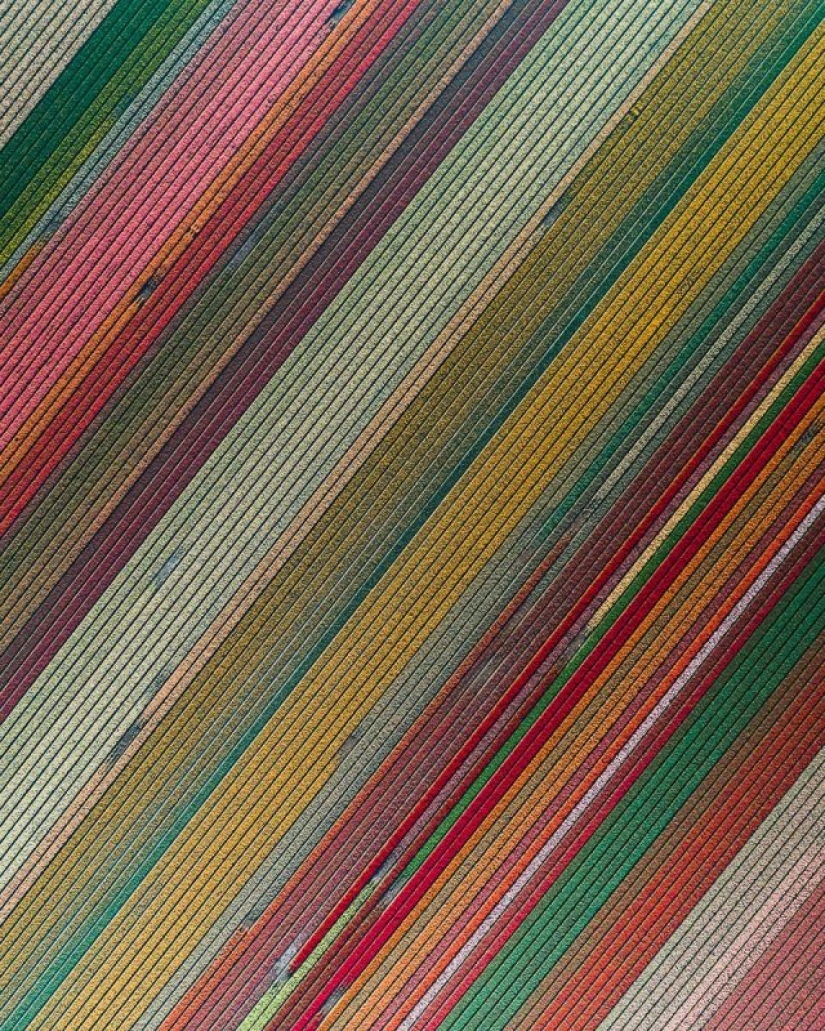 View from above: stunning aerial photographs of the brothers Andrews, in the project of Abstract Aerial Art