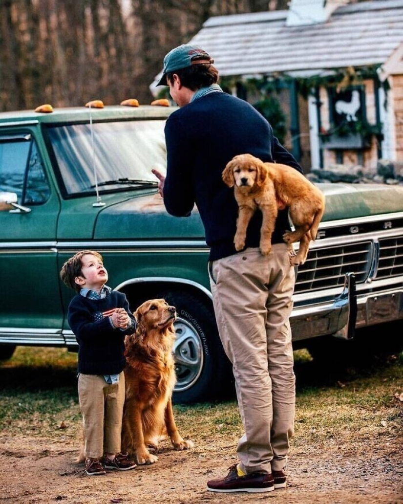 We are their whole life: 20 + photos with dogs that warm the soul