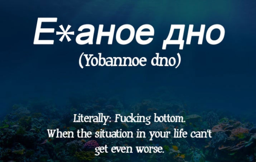 "We lack this in English": how Americans translated Russian swear words (careful, mate)
