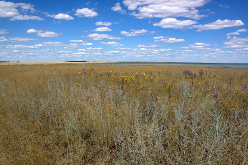 What can be seen from the train window on the Trans-Siberian Railway