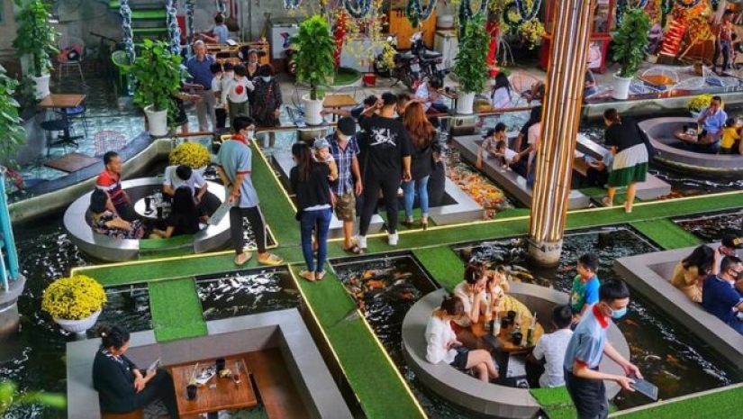 What goldfish cafes look like in Ho Chi Minh City