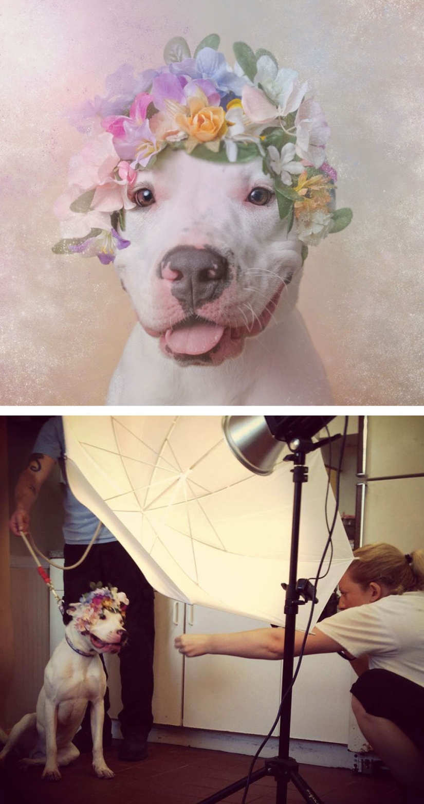 What happens behind the scenes of the most beautiful photo shoots
