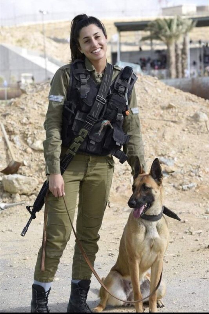 What is an "Oenothera" or How dogs serve in the Israeli army
