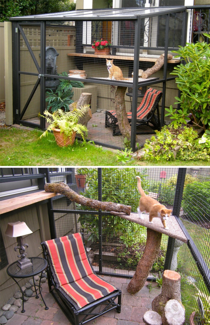 What is and is Koti, Playground for cats outdoors