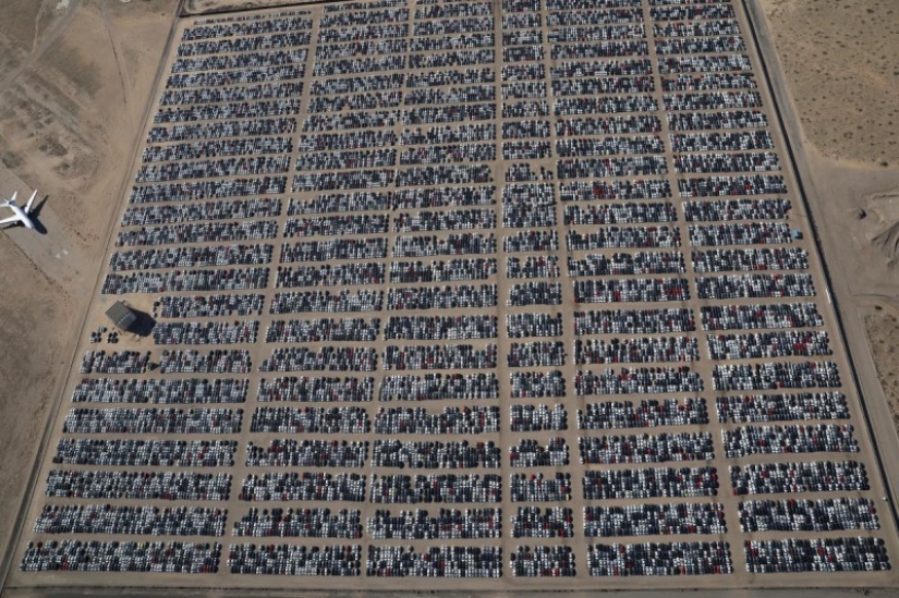 What the largest Volkswagen cemetery in the USA looks like