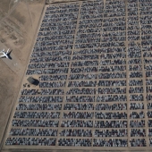 What the largest Volkswagen cemetery in the USA looks like